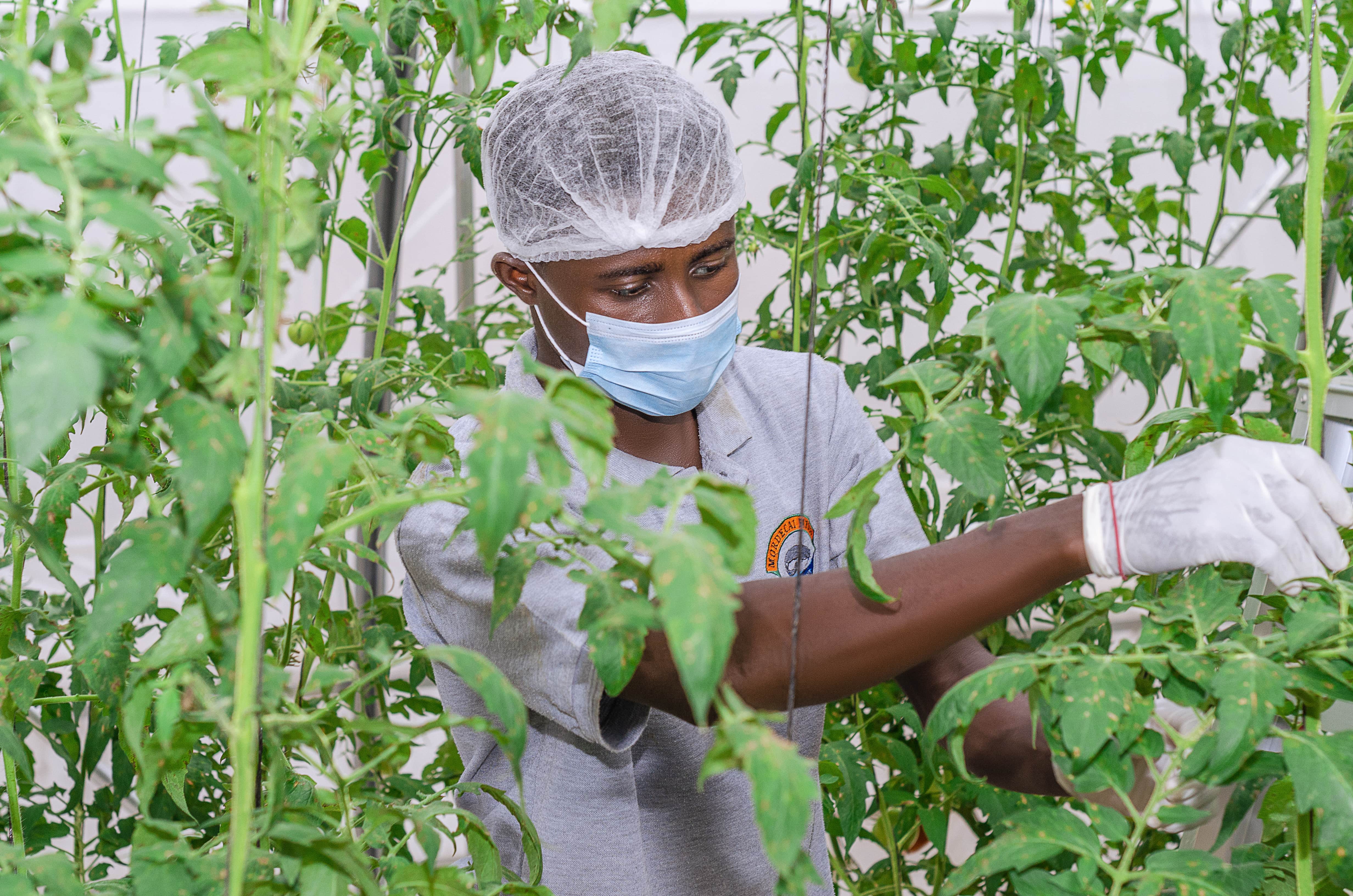 Sustainable Aquaculture